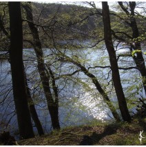 Bilder „meiner Insel“