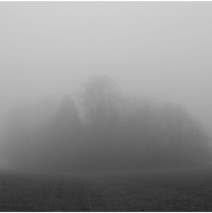 Von Nebel und Leben