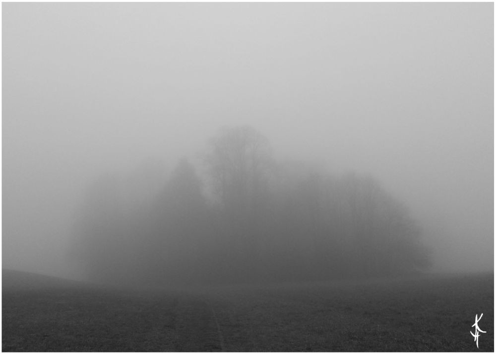Herbst2