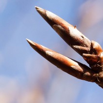 Frühling – draußen und drinnen