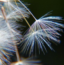 Fragmente I